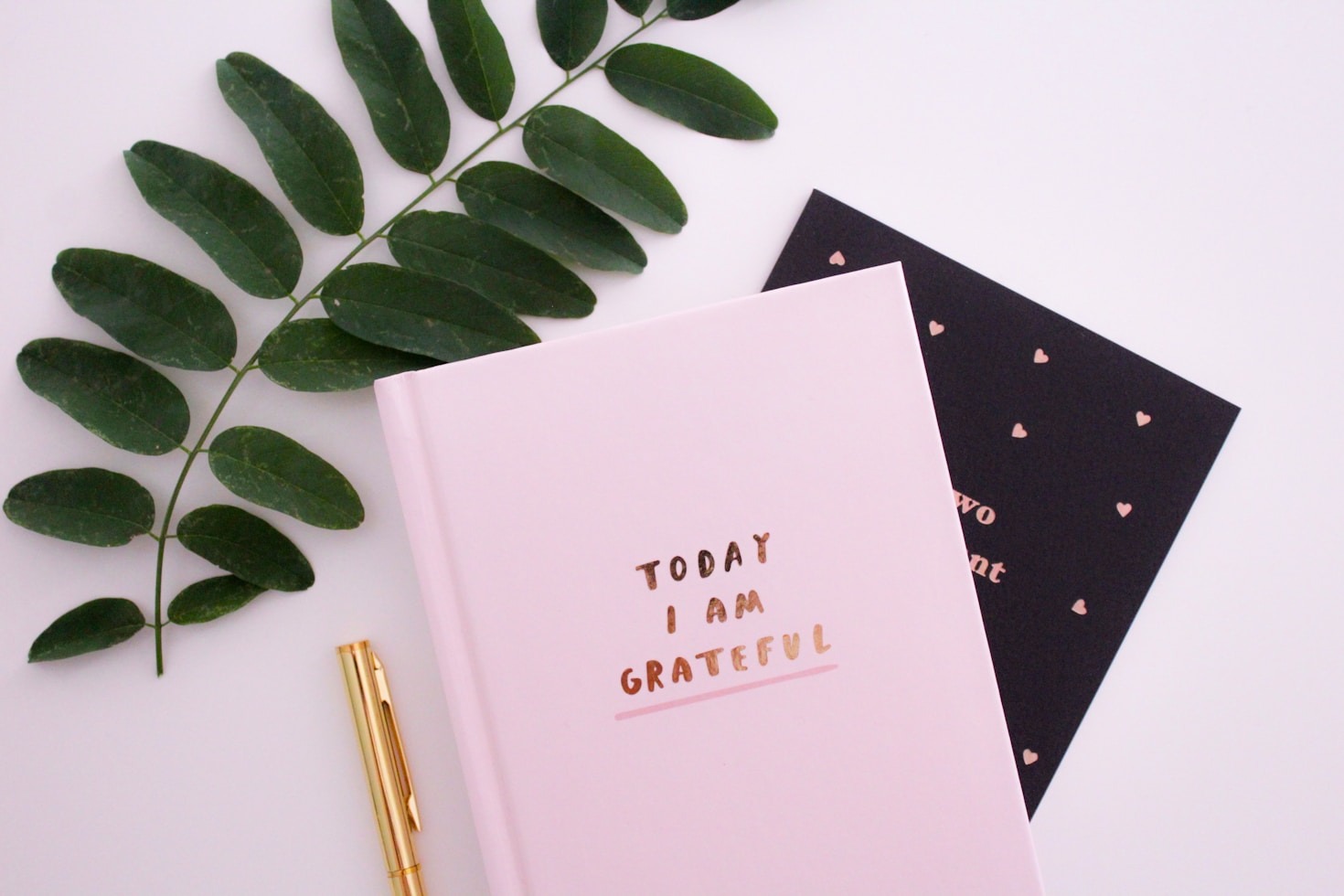 Turning Life Lessons into Meaningful Insights
